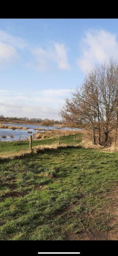 Safarihuisje Met Airco! Oisterwijk Esterno foto